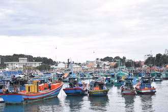 Khu vực cảng An Thới. 