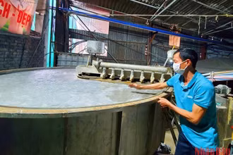 Hệ thống xử lý nước thải tuần hoàn của một cơ sở sản xuất giấy ở làng nghề giấy Phong Khê, thành phố Bắc Ninh (Bắc Ninh).