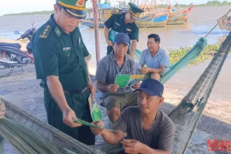 Chuyển biến tích cực trong chống khai thác IUU ở tỉnh Thái Bình