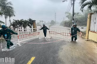 Thực hiện giăng dây cảnh báo, chốt chặn tại xã Hòa Phong.