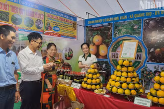 Gian hàng trưng bày sản phẩm cam của huyện Can Lộc tại Lễ hội Cam.