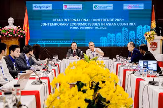 Các chuyên gia, nhà nghiên cứu trong nước, quốc tế tham dự hội thảo.
