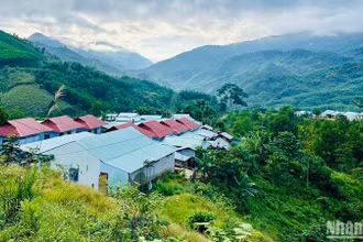 Những làng mới xây sau biến cố thiên tai ở huyện Nam Trà My giúp bà con nhân dân vững chãi ổn định cuộc sống.
