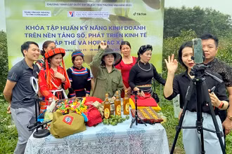 Thành viên của các Hợp tác xã trên địa bàn tỉnh tham gia các lớp nâng cao kỹ năng kinh doanh trên nền tảng số.