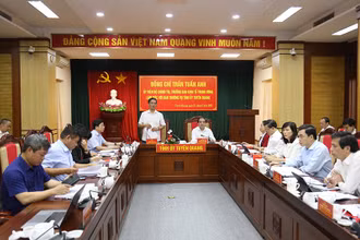 Đồng chí Trần Tuấn Anh, Ủy viên Bộ Chính trị, Trưởng Ban Kinh tế Trung ương, Trưởng Ban chỉ đạo thực hiện Chỉ thị số 13 phát biểu tại buổi làm việc.