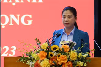 Đồng chí Lê Thị Kim Dung, Phó Bí thư thường trực Tỉnh ủy, Chủ tịch Hội đồng nhân dân tỉnh phát biểu khai mạc hội nghị.