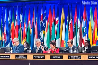 Chủ tịch Đại hội đồng UNESCO Simona-Mirela Miculescu gõ búa thông qua Nghị quyết. (Ảnh: MINH DUY)