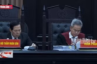 10 luật có hiệu lực từ ngày 1/1/2025