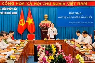 Các đại biểu đã có những đóng góp về nhiều nội dung trong dự thảo.