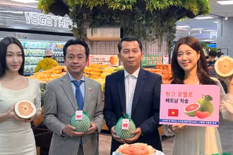 Buổi lễ ra mắt sản phẩm diễn ra tại Lotte Mart Jamsil. 