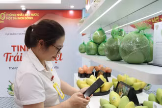 Khách tham quan có thể dễ dàng tra cứu thông tin chi tiết về sản phẩm thông qua việc quét mã.