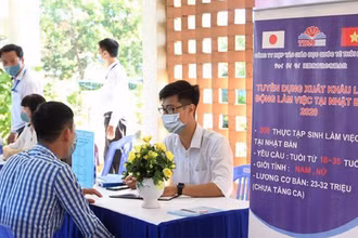 Trung tâm Dịch vụ việc làm Đà Nẵng đẩy mạnh hoạt động tư vấn, giới thiệu việc làm, đào tạo nghề với nhiều hình thức đa dạng.