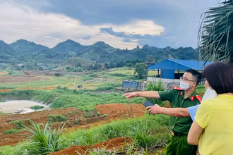 Kiểm tra việc chấp hành bảo vệ môi trường tại Công ty cổ phần giống bò sữa Mộc Châu sau khi tiếp nhận thông tin qua đường dây nóng.