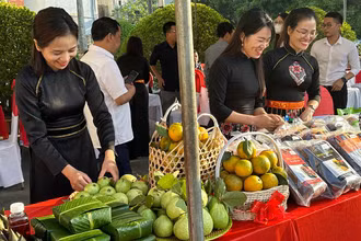 Gian hàng bày bán sản phẩm nông nghiệp của các hợp tác xã huyện Đình Hóa.