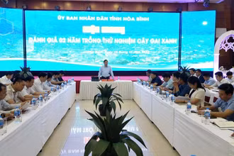Phó Chủ tịch Ủy ban nhân dân tỉnh Hòa Bình Đinh Công Sứ phát biểu tại hội nghị.