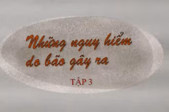 Những nguy hiểm do bão gây ra