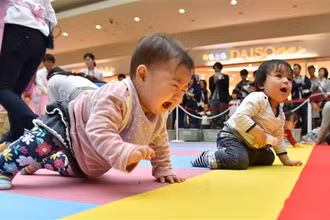 Các em bé tham gia "cuộc thi bò" tại Yokohama, tỉnh Kanagawa (Nhật Bản). (Ảnh: AFP/TTXVN)