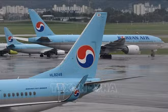 Máy bay của hãng hàng không Korean Air. Ảnh minh họa: AFP/TTXVN