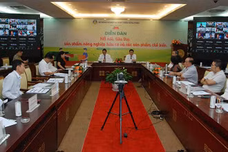 Quang cảnh diễn đàn.