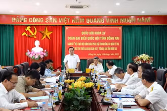 Đồng chí Quản Minh Cường, Phó Bí thư Tỉnh ủy, Trưởng Đoàn đại biểu Quốc hội tỉnh Đồng Nai phát biểu ý kiến.