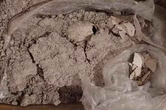 Trứng chim hồng hạc hóa thạch mới được tìm thấy tại Mexico. (Ảnh: INAH/El País)