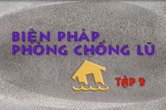 Biện pháp phòng chống lũ
