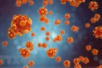 Hình ảnh mô phỏng virus gây bệnh viêm gan. (Ảnh: Getty Images/TTXVN)