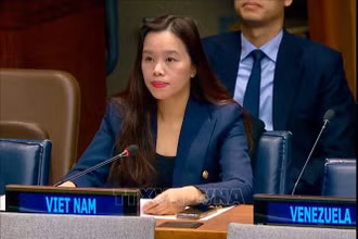 Tham tán Công sứ Lê Thị Minh Thoa, Phó Trưởng Phái đoàn Đại diện thường trực Việt Nam tại Liên hợp quốc, phát biểu tại phiên họp. Ảnh: TTXVN