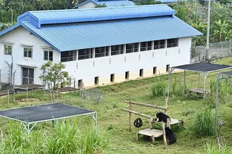Ngôi nhà của những chú gấu hạnh phúc.