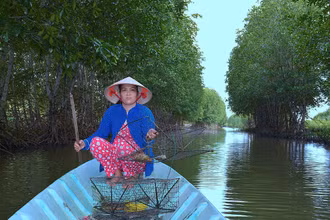 Cua Cà Mau hiện nay được nuôi nhiều trong vuông tôm dưới tán rừng ngập mặn.