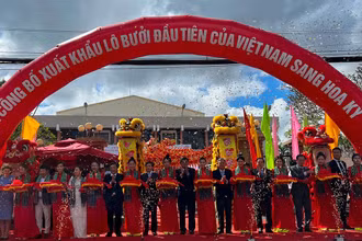Lãnh đạo tham dự buổi lễ cắt băng công bố xuất khẩu lô bưởi da xanh đầu tiên sang thị trường Hoa Kỳ.