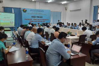 Quang cảnh hội thảo.