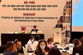 Đại diện nhiều nước trong khu vực ASEAN tham dự hội thảo.