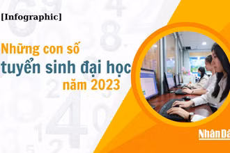Những con số tuyển sinh đại học năm 2023