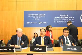 Bộ trưởng Ngoại giao Bùi Thanh Sơn tham dự Hội nghị Hội đồng Bộ trưởng OECD.