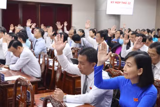Các đại biểu Hội đồng nhân dân tỉnh Đồng Nai biểu quyết tại kỳ họp thứ 22 vào sáng 11/12.