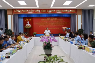 Quang cảnh buổi khảo sát.