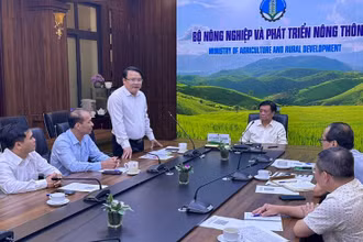 Bộ trưởng Nông nghiệp và Phát triển nông thôn Lê Minh Hoan làm việc với đoàn công tác tỉnh Nghệ An và huyện Kỳ Sơn.