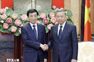 Chủ tịch nước Tô Lâm tiếp Chủ tịch Chính hiệp toàn quốc Trung Quốc Vương Hộ Ninh. (Ảnh: TTXVN)