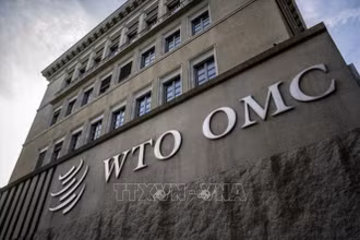 Trụ sở Tổ chức Thương mại Thế giới (WTO) tại Geneva, Thụy Sĩ. (Ảnh: Getty Images/TTXVN)