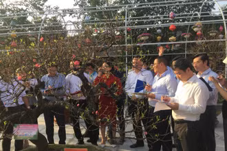 Ban Giám khảo đang nhận xét, chấm điểm cho các tác phẩm lọt vào vòng chung khảo.