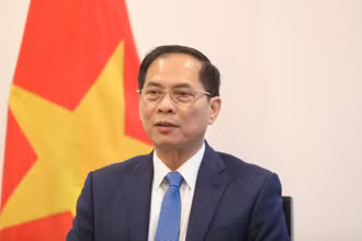 Phó Thủ tướng, Bộ trưởng Ngoại giao Bùi Thanh Sơn.