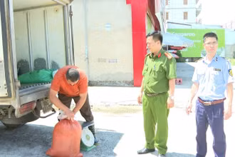 Hơn 300kg lòng lợn bốc mùi hôi thối bị các cơ quan chức năng thu giữ.
