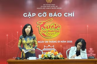 Thứ trưởng Ngoại giao, Chủ nhiệm Ủy ban Nhà nước về người Việt Nam ở nước ngoài Lê Thị Thu Hằng phát biểu.