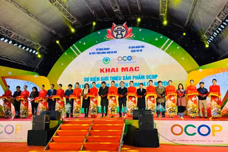 Các đại biểu cắt băng khai mạc sự kiện giới thiệu sản phẩm OCOP gắn với văn hóa các tỉnh miền trung và Tây Nguyên tại phố đi bộ Trịnh Công Sơn (Hà Nội).