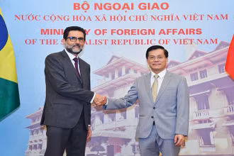 Thứ trưởng Ngoại giao Hà Kim Ngọc tiếp Thứ trưởng Ngoại giao Brazil. (Ảnh: Báo Thế giới và Việt Nam)