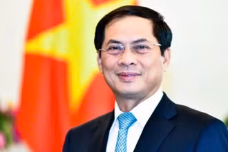 Phó Thủ tướng, Bộ trưởng Ngoại giao Bùi Thanh Sơn.