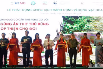 Khai mạc Triển lãm về Đa dạng sinh học. 