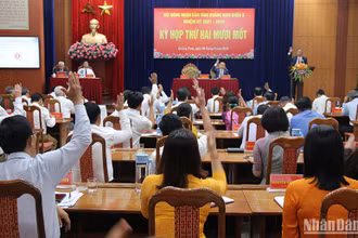Đại biểu Hội đồng nhân dân tỉnh Quảng Nam biểu quyết miễn nhiệm nhiều cán bộ chủ chốt của tỉnh. 