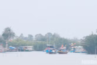 Tàu thuyền đã vào nơi tránh trú an toàn.